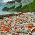 Algarve zachodnie – co zwiedzić?