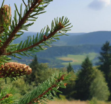 Gdzie leżą Karpaty w Polsce?