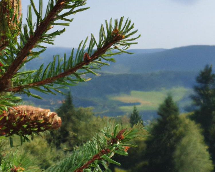 Gdzie leżą Karpaty w Polsce?