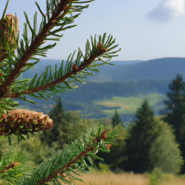 Gdzie leżą Karpaty w Polsce?